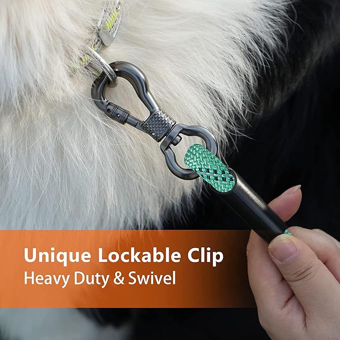 Long Dog Leash for Dog Training 10FT/15FT/20FT/30FT/40FT/50FT/100FT Reflective Leash with 2 Hooks, Heavy Duty Dog Lead for Large Medium Small Dogs Outside Walking Camping Yard,Teal 100FT