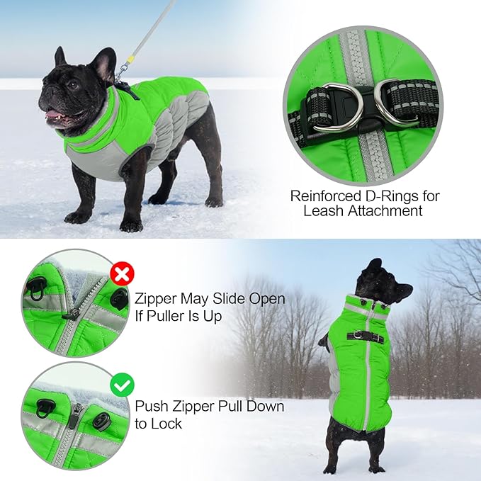 Warm Dog Coats for Medium Dogs, Waterproof Dog Jacket with Harness Built in, Zipper Clousure, Fleece Lining for Cold Weather Outdoor Walks, Snowsuit for Schnauzer, Boston Terrier, Pug - M