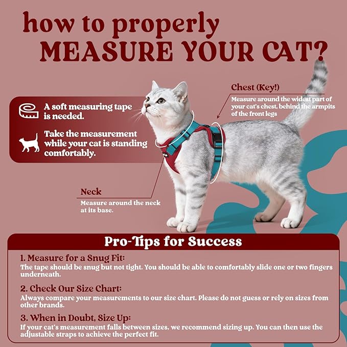 rabbitgoo Cat Harness and Leash for Walking, Escape Proof Soft Adjustable Vest Harnesses for Cats, Easy Control Breathable Reflective Strips Jacket, Red & Teal, M