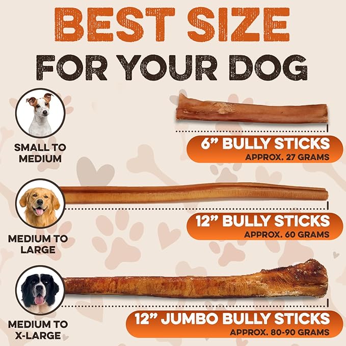 BRUTUS & BARNABY Bully Sticks for Dogs, 12" – Low-to-No Odor, Grass-Fed, Rawhide-Free Chews for Aggressive Power Chewers