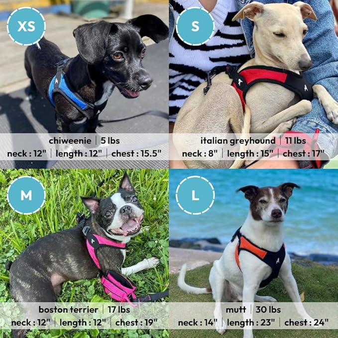 Gooby Escape Free Easy Fit Harness - Orange, X-Small - No Pull Step-in Patented Dog Harness with Quick Release Buckle - Perfect On The Go No Pull Harness for Small Dogs or Medium Dog Harness