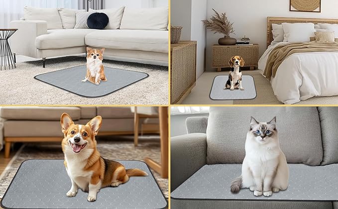 Extra Large Washable Pee Pads for Dogs,6Pack Reusable Puppy Pads for Dogs,36x48 Non-Slip Waterproof Pet Training Pads for Crate, Playpen, Bed, Sofa,Whelping Box, Potty Training