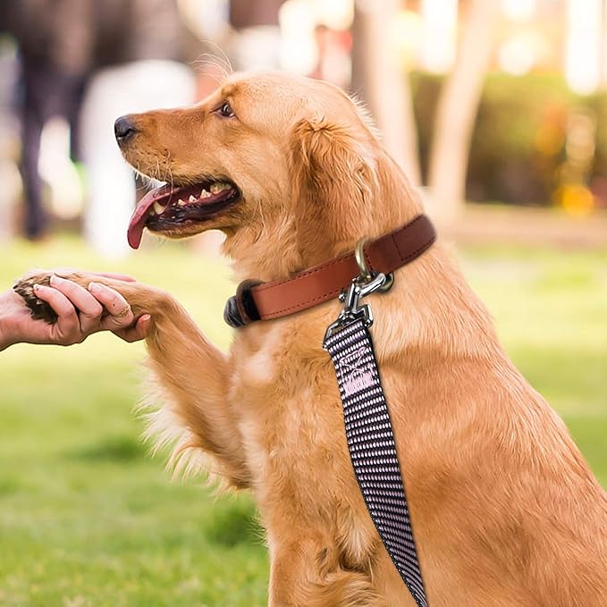 Hi Kiss Dog/Puppy Obedience Recall Training Agility Lead - 15ft 20ft 30ft 50ft 100ft Training Leash - Great for Training, Play, Camping, or Backyard(30ft,BL+PK)