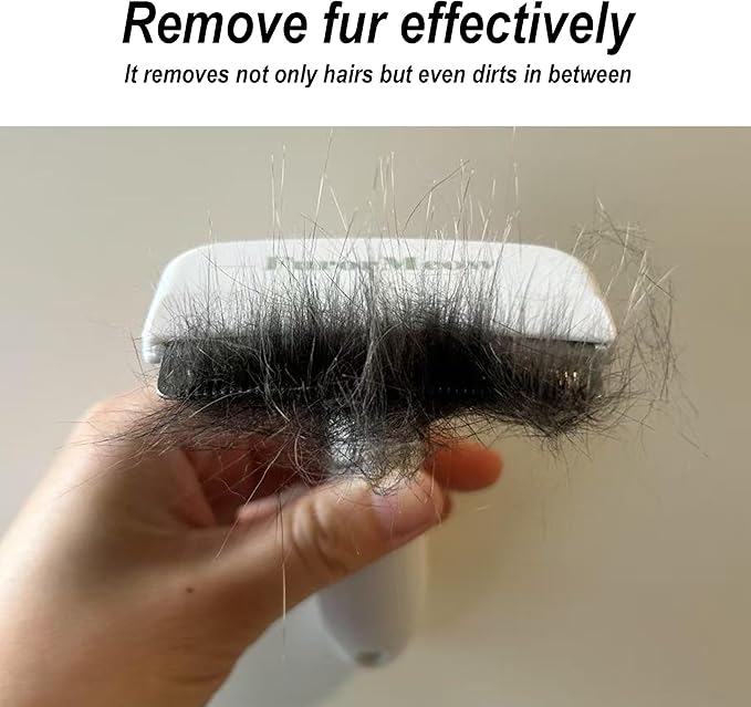Pet Deshedding Tool with Curve Blade, Cat Grooming Brush, Tight V-shaped Teeth Shedding Comb for Cat and Small Dog (White, Small)