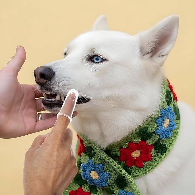 10 Pieces Dog Tooth Brushing Kit, Finger Toothbrush for Cat Dogs Puppy Kitten Finger Toothbrushs with Silicone Bristles Cat Teeth Cleaning Brush Pet Dental Care & Teeth Cleaning for All Pets