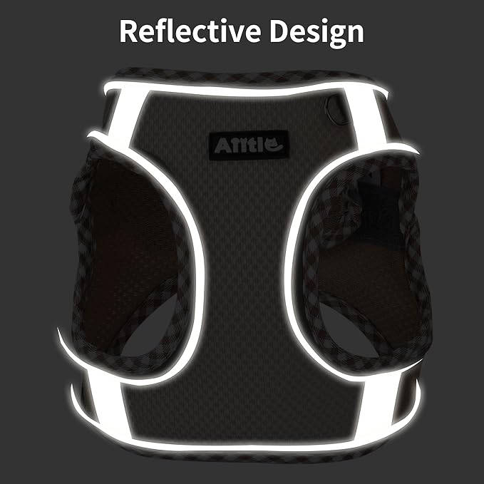 AIITLE Tiny Dog Harness - Lightweight Mesh Step-in Vest for Puppy, Reflective & Escape-Proof Design with High-Stick Magic Tape - Indoor/Outdoor Use for Chihuahua, Maltese, Shih Tzu(Orange, XXXS)