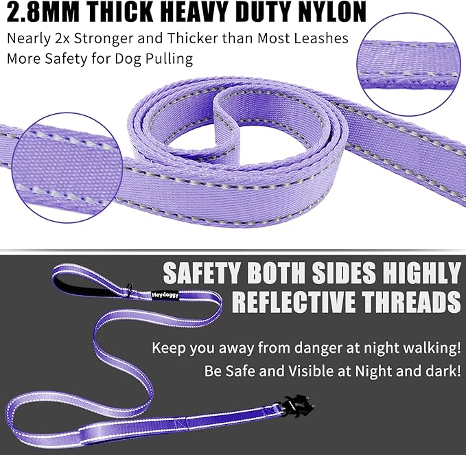 Strong Heavy Duty Dog Leash - 4ft Reflective Nylon Training Leash with Soft Padded Double Handle & Auto Lock Frog Clip, Safety Traffic Control for Large Medium Small Dogs No Pull Walk Light Purple,4ft