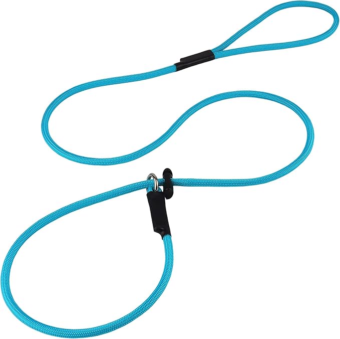 Slip Lead Dog Leash – 5/16 Inch Nylon Rope No Pull Training Leash with Stopper, Slip Rope for Walking & Correction, 4FT/5FT/6FT Control Lead for Medium Large Dogs (Sky Blue, 5 FT)
