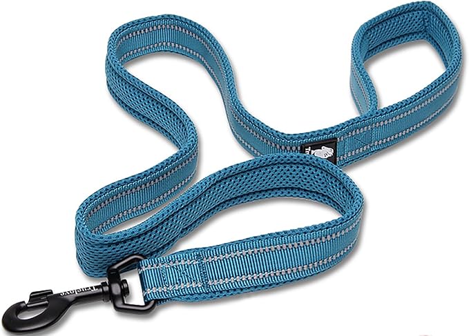 TRUE LOVE Reflective Dog Leash Puppy Walking Lead, Padded Pet Chain Rope，Length 110cm TLL2111(Blue,S)