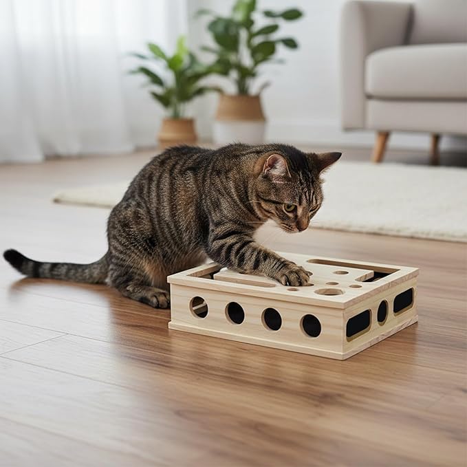 Interactive Cat Enrichment Toy Box,Cat Toy Puzzle Box with Teaser Wand, Balls & Scratch Pad for Indoor Cats, Premium Mental Stimulation and Play for Kittens & Adult Cats