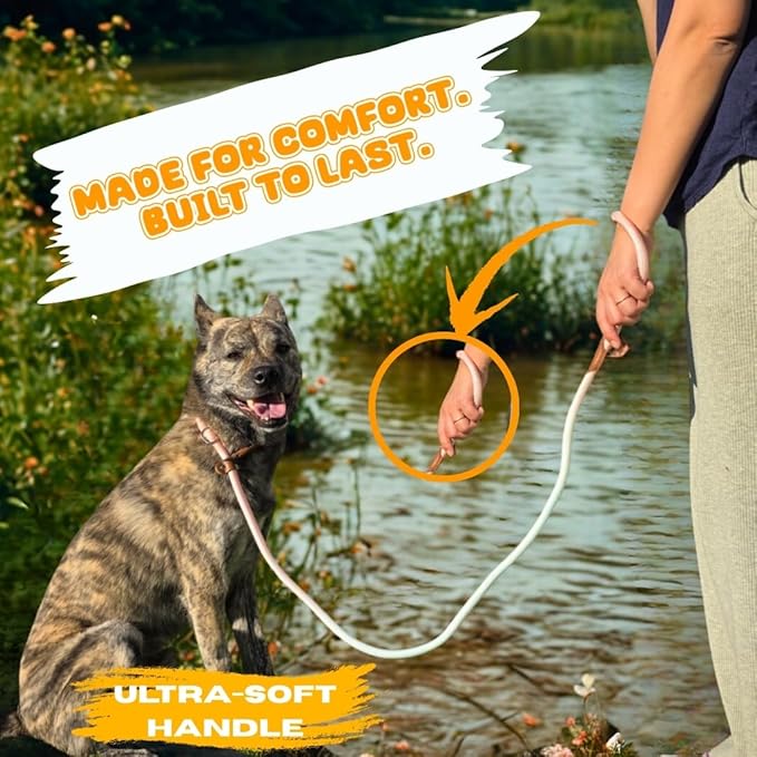 Dog Leash - Slip Leads for Dogs, 5 FT Pet Training Leash, Strong Heavy Duty Braided No Pull Loop Rope Training Lead Leashes for Small, Medium, Large Breeds, Pink & Blue