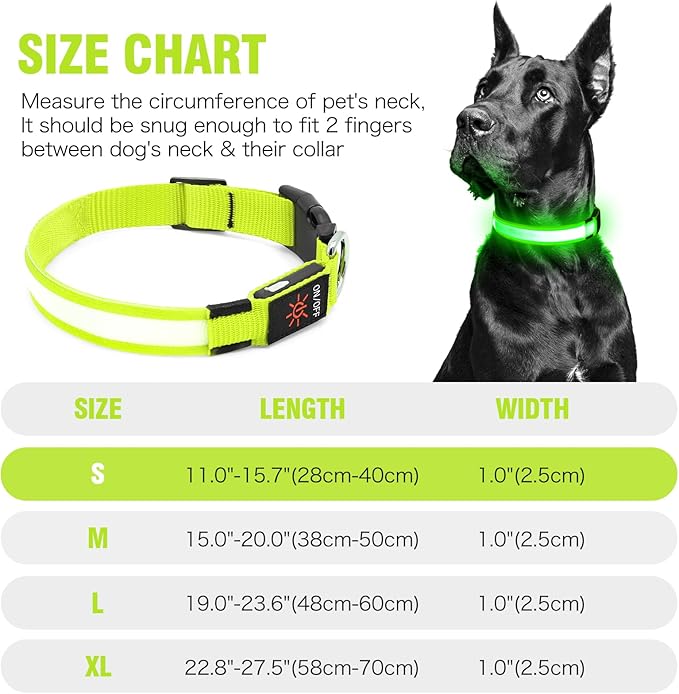 LED Dog Collar, USB Rechargeable Light Up Dog Collars, Adjustable Glow Collars for Dogs, Reusable Safety Dog Collar for Small, Medium, Large Dogs (Green, Small)