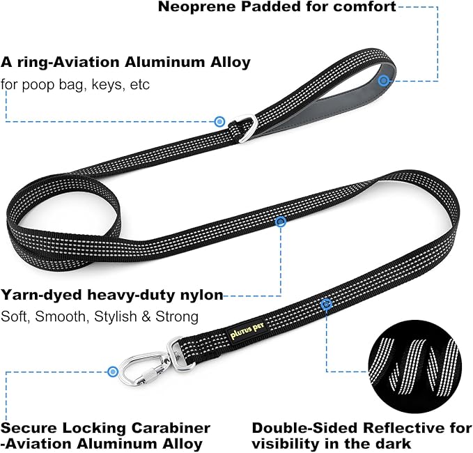 Plutus Pet Heavy Duty Dog Leash with Lockable Aluminum Carabiner, 4/6 Feet Long, Double-Sided Reflective Nylon, Padded Handle, for Puppy, Small, Medium and Large Dogs (Black, 4/5" x 6')