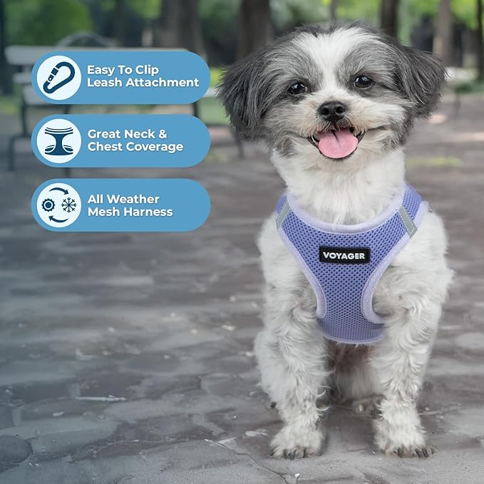 Best Pet Supplies Voyager Step-in Air Harness - All Weather Mesh, Reflective, No Pull Harness for Dogs, Cats - Secure with Hook & Loop Fastener, Buckle, Double D-Rings - Lavender, XXS