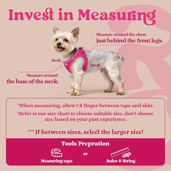 rabbitgoo Small Dog Harness, Step-in Soft Mesh Puppy Vest with Safety Buckle, Breathable Reflective Pet Harness for Small Sized Dogs, Rose Red M