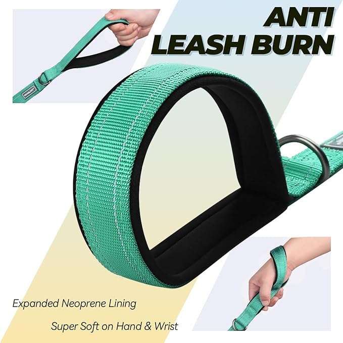 VIVAGLORY Twingrip Dog Leash, Double Handle Dog Leash for Training & Walking with Traffic Handle & 2 Loop, Traffic Control Reflective Heavy Duty for Puppy Pet, 5ft x 1in, Turquoise