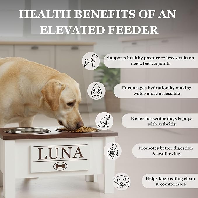 GTW Personalized Elevated Dog Bowl Stand for Large, Medium, Small, X-Small Dogs - Stainless Steel Food and Water Bowls - Raised Dog Dish with Internal Storage (Medium, Blue)
