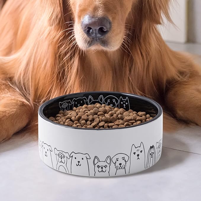 Fun Elements Ceramic Dog Bowls - Non-Slip, 16 Fl Oz Black Bowls with Adorable Dog Patterns (Small)