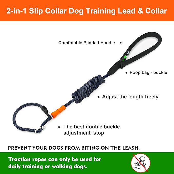 BeauGo|Slip Leads for Dogs|Slip Lead Dog Leash|Dog Training Leash,2-in-1 Dog Training Lead & Collar,No Pull Training Lead,Comfortable Strong Rope Slip Lead for Small Dogs and Puppies.Slip Leash6FT