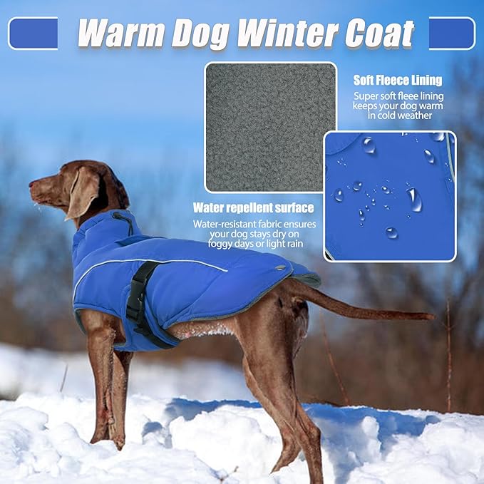 DENTRUN Winter Warm Dog Coat Reflective Jacket with Turtleneck for Cold Weather, Adjustable Buckle Windproof Water Repellent, Thick Snowsuit Fleece Vest for Small, Medium, Large Dogs, Blue, M