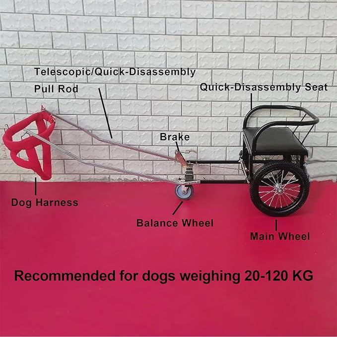 Dog Carts for Dogs to Pull Working Detachable Dogs Pull Carts with Armrests and Pet Harness Dog Trailer for 22lb-132lb Medium/Small/Large Dogs, Load Capacity 100kg(Size:10-40kg/22lb-88lb)