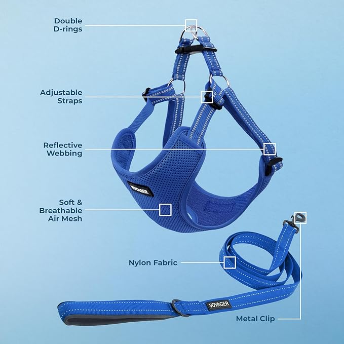 Best Pet Supplies Voyager Mesh Dog Breathable Harness Reflective Stitching, All Weather Adjustable for Walking Training, or Running - Heavy Duty & Durable, Harness Leash Set (Royal Blue), S