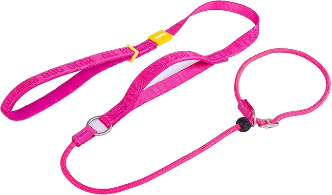 Dog Slip Lead Dog Leash,Fine Webbing Training Leash, No Pulling Slip Leash Collar,Heavy Duty&Durable,Padded Handle,Easy-Control for Small,Medium or Large Dogs,5FT (Pink, 5FT)