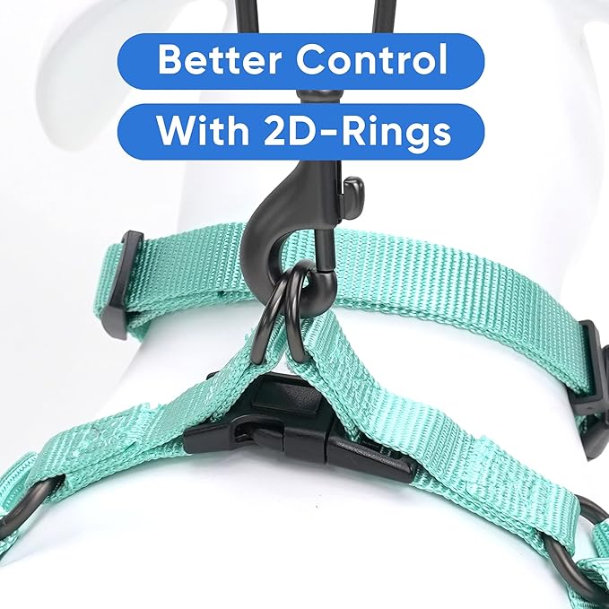 Pawtitas Personalized Dog & Puppy Harness Medium Teal Custom ID Tag Adjustable No Pull Vest