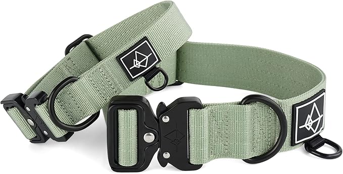 Made to ROAM Premium Dog Collar - Adjustable Heavy Duty Nylon Collar with Quick-Release Metal Buckle (Washington Rain, Classic Size 5)