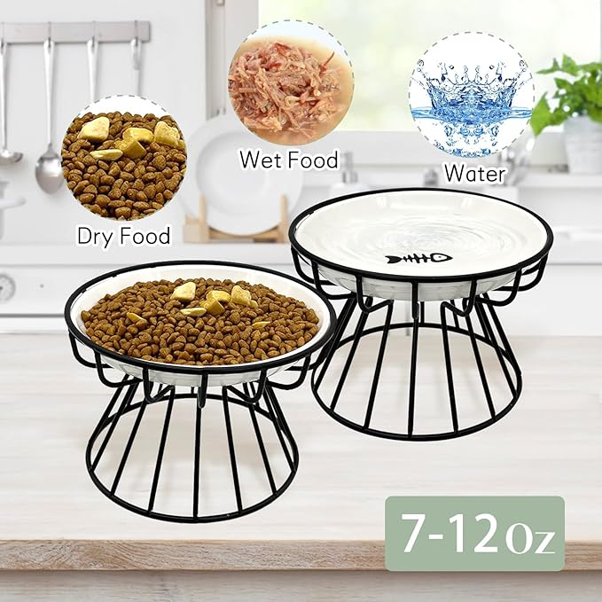 BNOSDM 2 Pcs Raised Cat Food Bowls, Shallow Ceramic Cat Dishes with Metal Stands Elevated Pet Feeder Dry/Wet Food for Indoor Kitten Kitty