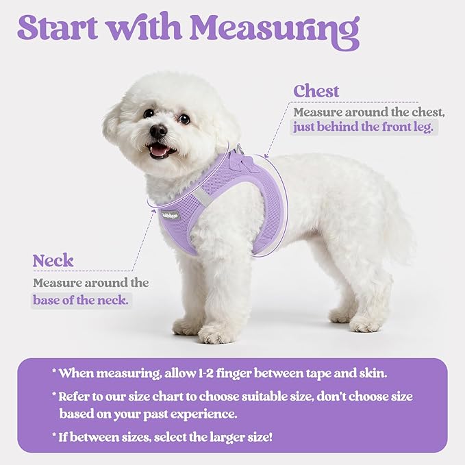 rabbitgoo Dog Harness Small Sized and Leash Set, Step in Soft Light Puppy Vest, Breathable Mesh Pet Harness, Reflective for Safe Easy Walking, Light Purple XXXS
