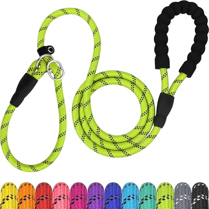 TagME Slip Leads for Dogs, 6 FT Heavy Duty Slip Leash with Padded Handle, Strong Rope No Pull Pet Training Leash for Small Dogs,Green