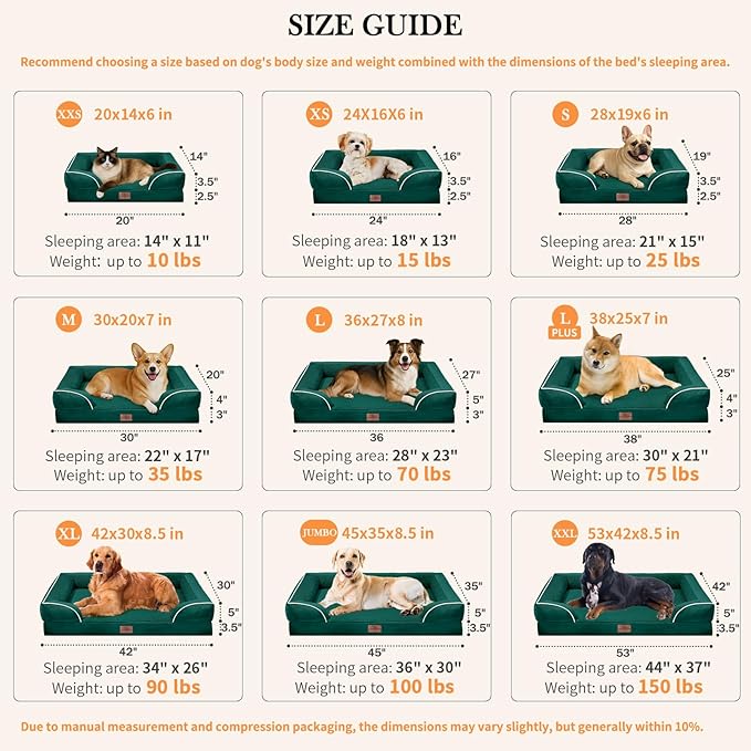 Comfort Expression Orthopedic Dog Bed for Medium Dogs 28x19 Inch, Waterproof Supportive Egg Crate Foam Medium Pet Bed with Removable Bolsters, Dog Couch with Washable Cover & Non-Slip Bottom, Emerald