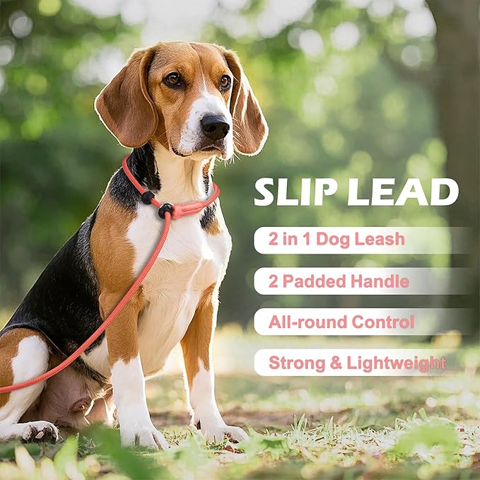 6FT Slip Lead Dog Leash with Double Padded Handle, Anti-Tangle Slip Leads for Dogs, Reflective Nylon No-Pull Training Leash for Small Medium Dogs, Pink