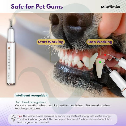Dog Plaque and Tartar Remover - Electric Plaque Remover for Teeth with 5 Modes, LED Light, Safe Tooth Cleaner Dog Teeth Cleaning Kit Dental Care Tool for Pets