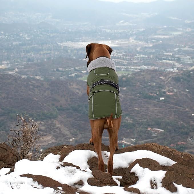 Lelepet Warm Dog Coat Reflective Fleece Vest Waterproof Dog Jacket with Adjustable Buckle Hook & Loop Windproof Cold Weather Coats for Small Medium Large Dogs, Army Green, S