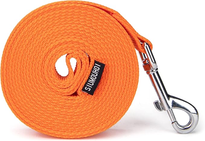 Siumouhoi Strong Durable Nylon Dog Training Leash, 1 Inch Wide Traction Rope, 6 ft 10ft 15ft Long, for Small and Medium Dog (Orange, 10 Feet)