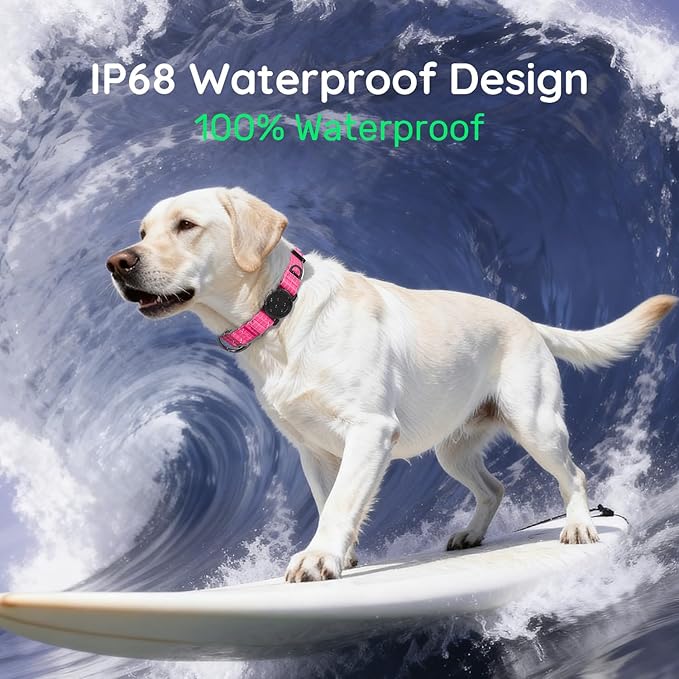 WhoseID Airtag Dog Collar | with Waterproof Air Tag Holder | QR Code Pet ID | Durable Comfortable Oxford Padded | Reflective Collar | for Small Puppy Dogs(Rose2,S,10''~16'')