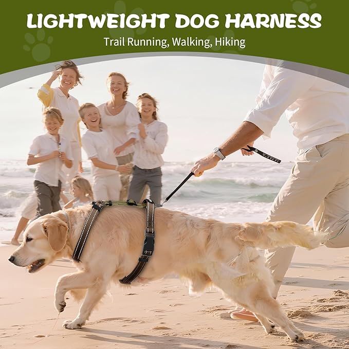 Dog Harness,Adjustable No Pull Dog Harness,Y-Shaped Design,Buckle-Neck Balance Harness with Reflective, Ideal for Dog Training Hiking, Easy Walk Harness,Durable High-Tensile Nylon Blown-M