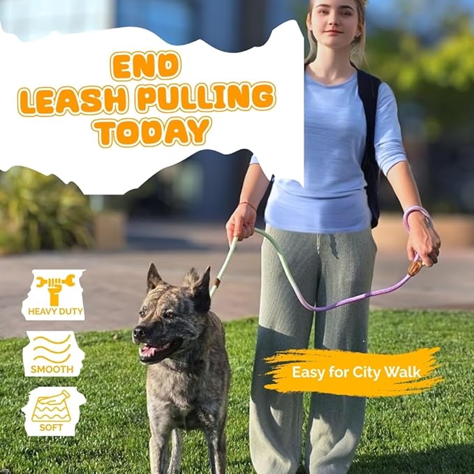 Dog Leash - Slip Leads for Dogs, 5 FT Pet Training Leash, Strong Heavy Duty Braided No Pull Loop Rope Training Lead Leashes for Small, Medium, Large Breeds, Purple & Green