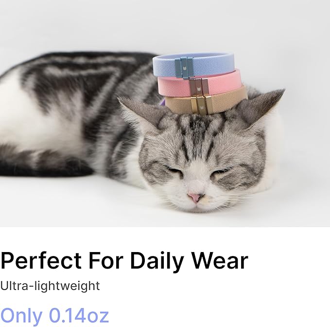 Safety Cat Collar - U.S. IDA Gold Awarding Design, Stretch Elastic Quick Release, Non Breakaway - Light Weight for Kitten, Neck Fit 5.9'-11.8' for All Small Large Cat,S(Gold Champagne)