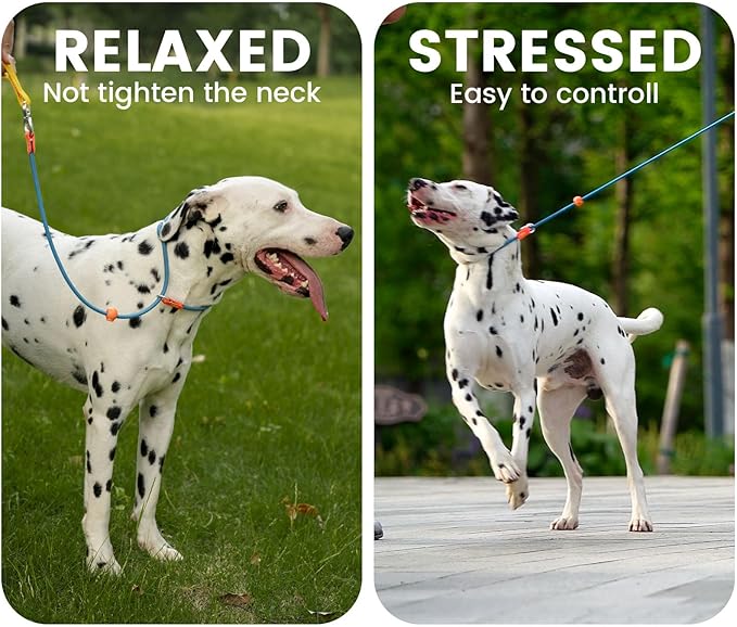 Slip Lead Dog Leash with Double Handles | Reflective Dog Training Lead with 360° Swivel Anti-Tangle | Heavy-Duty Leash and Collar for Large Medium and Small Dogs No-Pull Walking (Green, 5.5FT)
