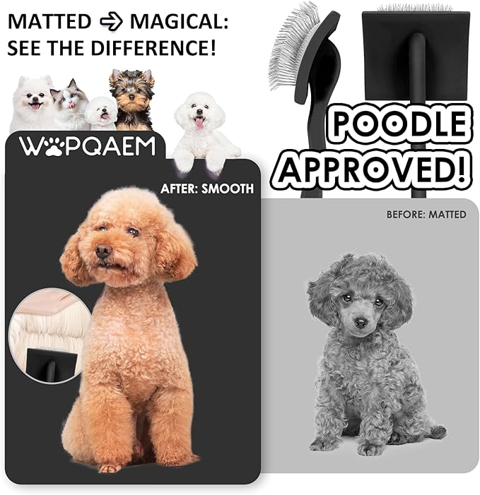 Slicker Brush for Dogs & Cats, Large Dog Brush for Goldendoodles Poodles Doodles Bernedoodles, Long Pin Grooming Tools to Dematting & Reducing Tangles and Fluff, Black