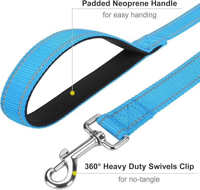 Erbine 6FT Reflective Nylon Dog Leash with Soft Padded Handle for Walking, Running and Training, Supports Small Medium and Large Dogs (Auqa Blue, 1 Inch Wide)