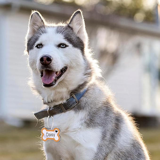 Personalized Deep Engraving Pet ID Tags Engraved Both Sides Bone Shape Custom Dog Tag Stainless Pet ID Tag Engraved Heart Dog Tags for Large Small Dogs Cats (Orange, Large)