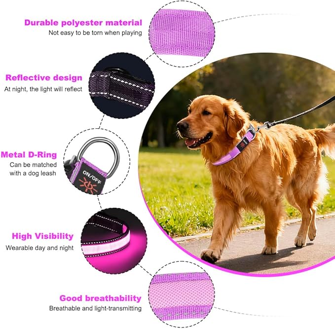 Dolitego LED Dog Collar USB Rechargeable - Light Up Dog Collar Safety Pet Collars with Lights for Night Walking,Camping (Pink, S)