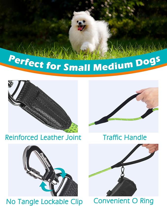 PetBonus Double Handle Rope Dog Leash, 6FT Heavy Duty Training Lead with Lockable Hook and 2 Comfortable Padded Handles, Reflective Walking Nylon Leash for Small Medium Dogs (11-55 lbs, Green)