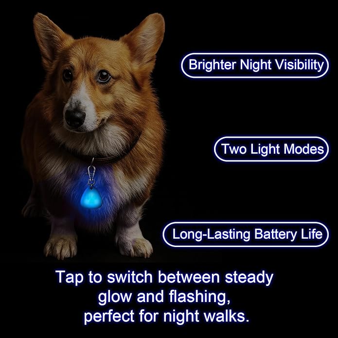 QUELIEN LED Dog Safety Pendant – Night Visibility, Durable, Long Battery Life, Easy Clip-on for All Dogs, Blue