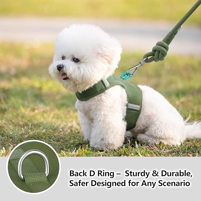 Dog Harness for Puppy – Adjustable Reflective Easy Put On Soft Mesh Vest for Small Dogs with 2 Patches (Misty Green,XS)