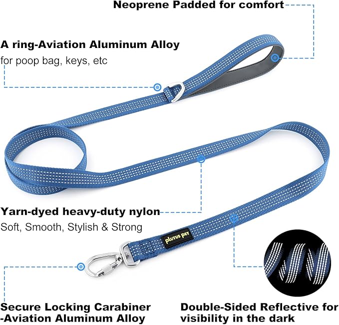 Plutus Pet Heavy Duty Dog Leash with Lockable Aluminum Carabiner, 4/6 Feet Long, Double-Sided Reflective Nylon, Padded Handle, for Puppy, Small, Medium and Large Dogs (Blue, 4/5" x 4')